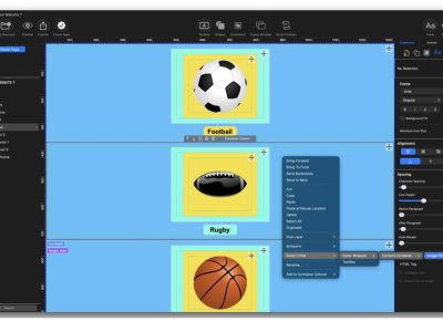 EverWeb's Workflow Options1