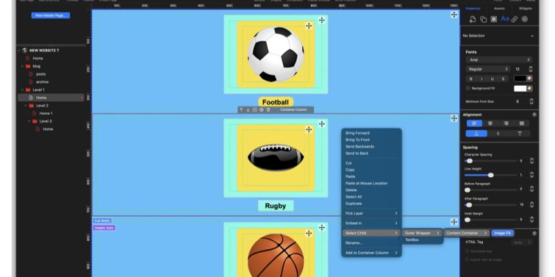 EverWeb's Workflow Options1