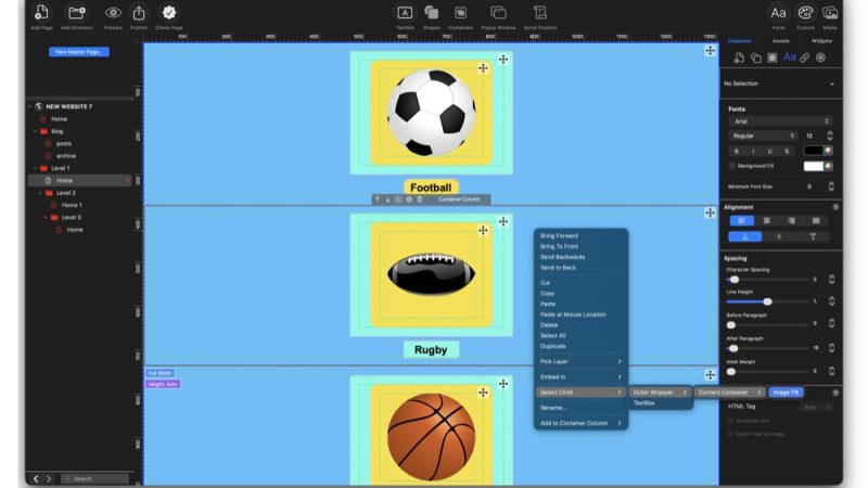 EverWeb's Workflow Options1
